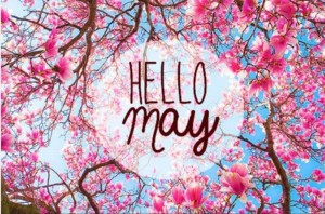 Sw3_may