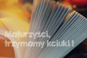 photo-1455651264681-40d634a35ce4